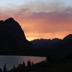 Meet your Posher, Susannah